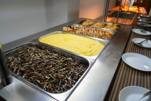 Bufet All Inclusive Demipensiune Hotel Majestic Olimp